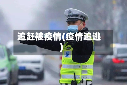 追赶被疫情(疫情追逃)-第3张图片