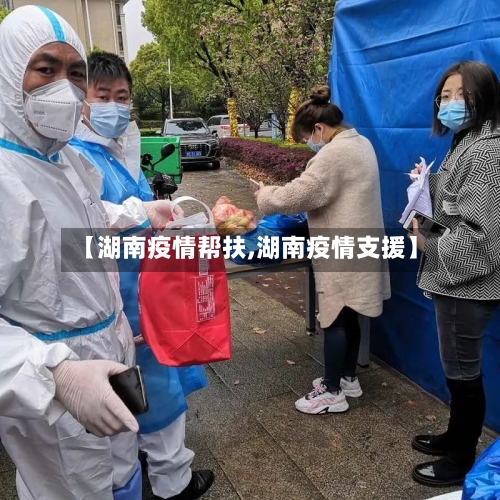 【湖南疫情帮扶,湖南疫情支援】-第2张图片