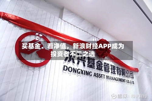 买基金	、看净值，新浪财经APP成为投资者不二之选-第2张图片