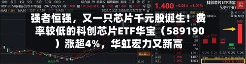 强者恒强，又一只芯片千元股诞生！费率较低的科创芯片ETF华宝（589190）涨超4%，华虹宏力又新高-第3张图片