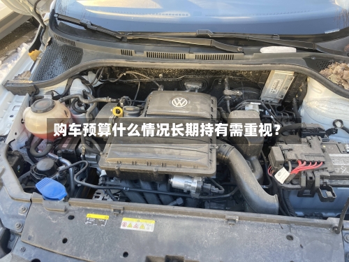 购车预算什么情况长期持有需重视?-第3张图片