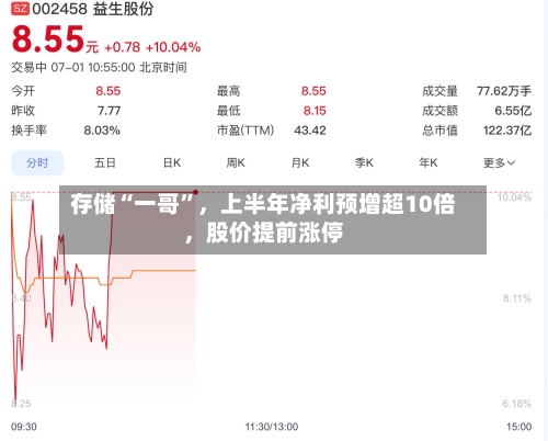 存储“一哥	”，上半年净利预增超10倍	，股价提前涨停-第2张图片