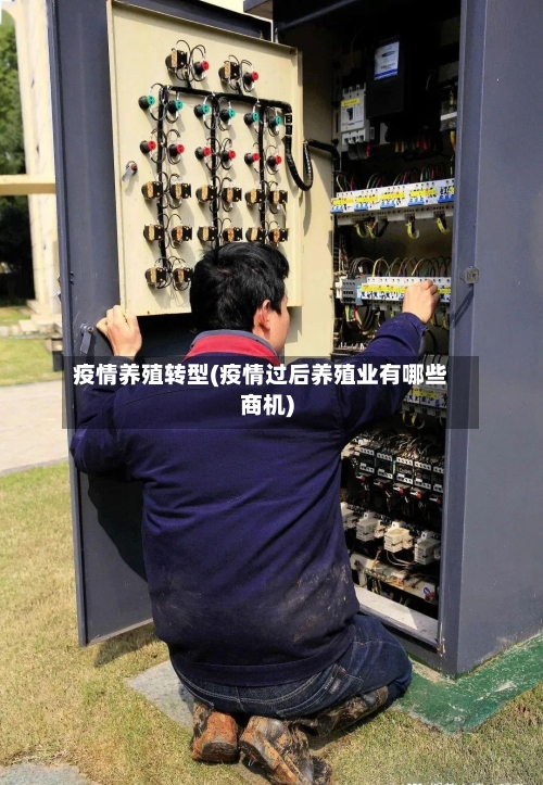 疫情养殖转型(疫情过后养殖业有哪些商机)