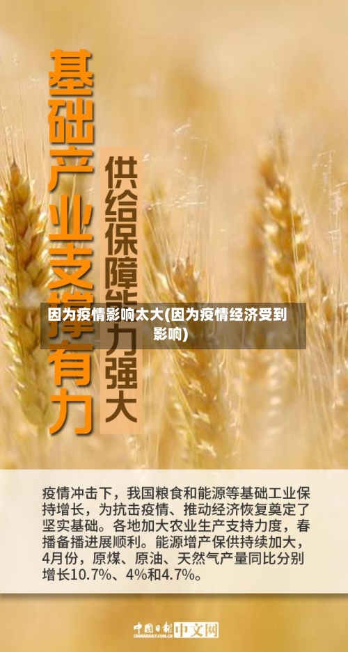 因为疫情影响太大(因为疫情经济受到影响)-第2张图片