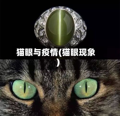 猫眼与疫情(猫眼现象)-第2张图片