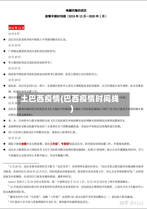 土巴西疫情(巴西疫情时间线)