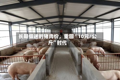 长期低迷的猪肉价	，重回“10元/公斤”时代-第3张图片