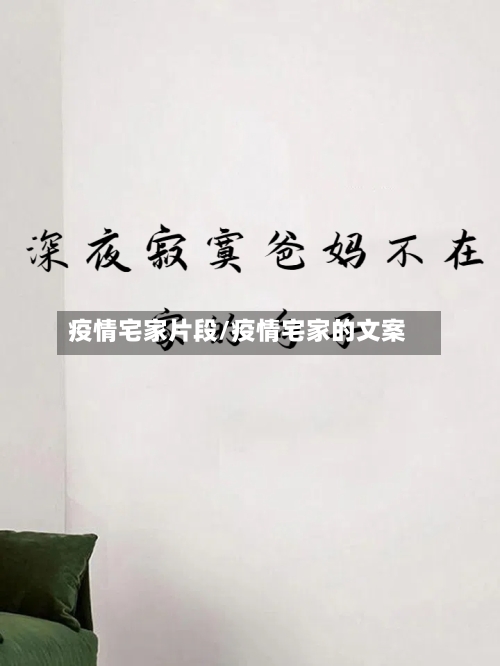 疫情宅家片段/疫情宅家的文案