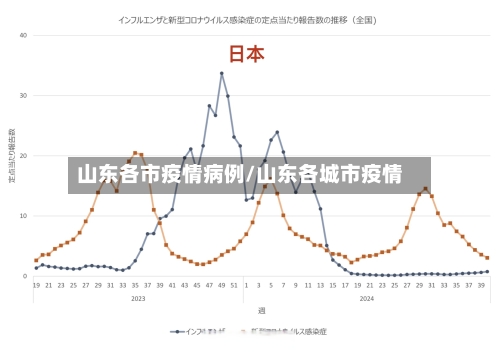山东各市疫情病例/山东各城市疫情-第2张图片