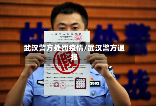 武汉警方处罚疫情/武汉警方通报