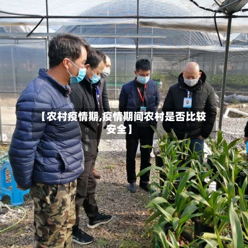 【农村疫情期,疫情期间农村是否比较安全】-第2张图片