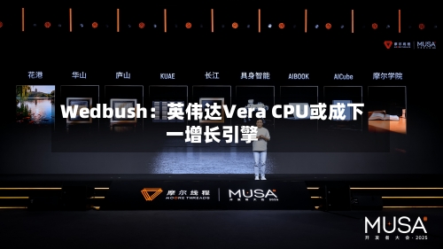 Wedbush：英伟达Vera CPU或成下一增长引擎-第3张图片