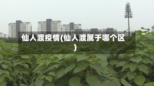 仙人渡疫情(仙人渡属于哪个区)-第3张图片