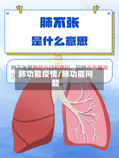 肺功能疫情/肺功能问题-第2张图片