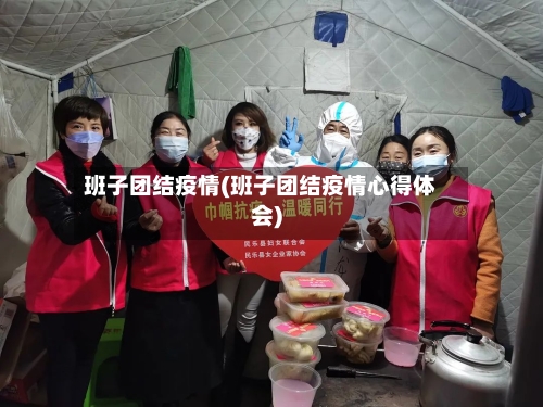 班子团结疫情(班子团结疫情心得体会)