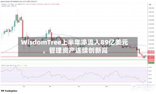 WisdomTree上半年净流入89亿美元	，管理资产连续创新高-第2张图片