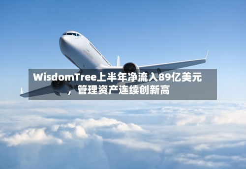 WisdomTree上半年净流入89亿美元，管理资产连续创新高-第3张图片