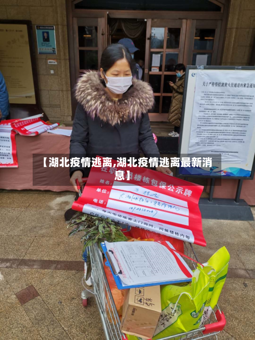 【湖北疫情逃离,湖北疫情逃离最新消息】-第3张图片