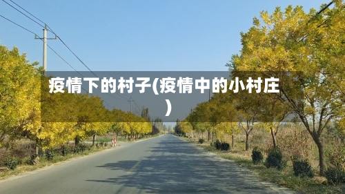 疫情下的村子(疫情中的小村庄)