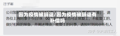 因为疫情被辞退/因为疫情被辞退有补偿吗