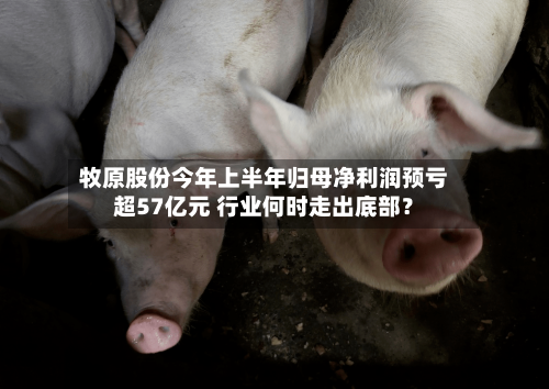 牧原股份今年上半年归母净利润预亏超57亿元 行业何时走出底部？