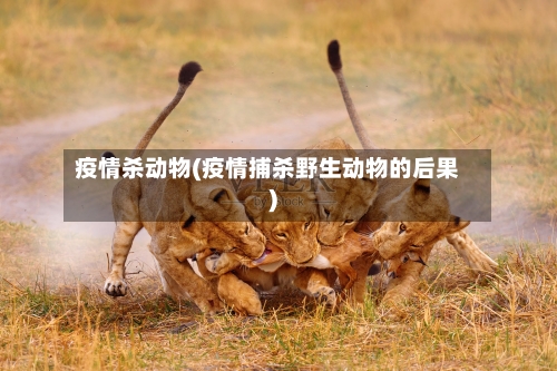 疫情杀动物(疫情捕杀野生动物的后果)