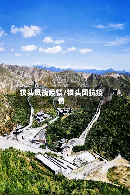 钗头凤战疫情/钗头凤抗疫情