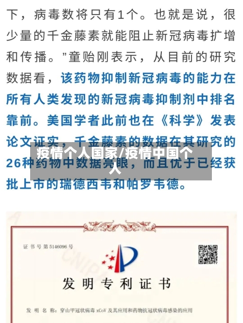 疫情个人国家/疫情中国个人-第2张图片