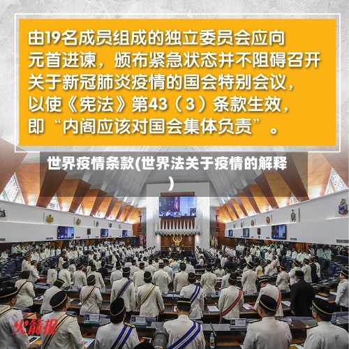 世界疫情条款(世界法关于疫情的解释)-第3张图片