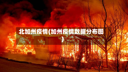 北加州疫情(加州疫情数据分布图)