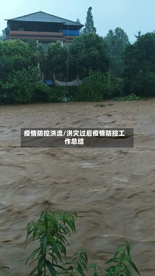 疫情防控洪流/洪灾过后疫情防控工作总结-第2张图片