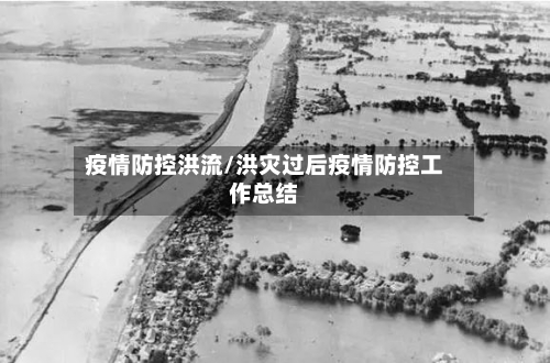 疫情防控洪流/洪灾过后疫情防控工作总结-第3张图片