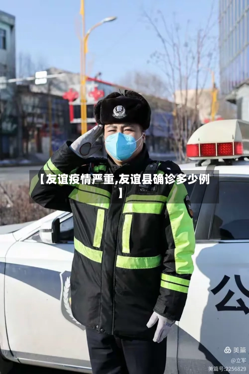 【友谊疫情严重,友谊县确诊多少例】