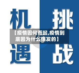 【疫情因何而起,疫情到底因为什么爆发的】