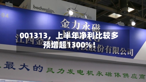001313，上半年净利比较多预增超1300%！-第2张图片