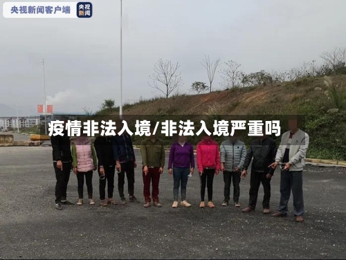 疫情非法入境/非法入境严重吗-第2张图片