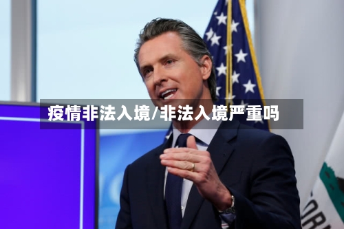 疫情非法入境/非法入境严重吗