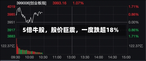 5倍牛股，股价巨震，一度跌超18%