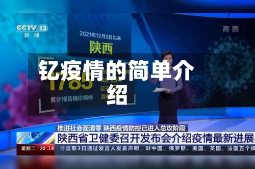 钇疫情的简单介绍-第2张图片