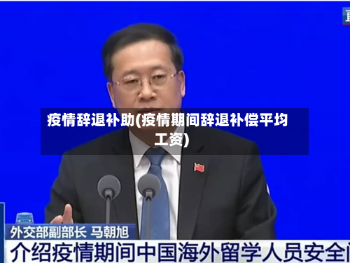 疫情辞退补助(疫情期间辞退补偿平均工资)-第2张图片