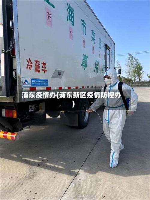浦东疫情办(浦东新区疫情防控办)-第2张图片