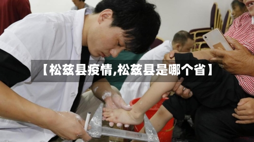 【松兹县疫情,松兹县是哪个省】-第2张图片