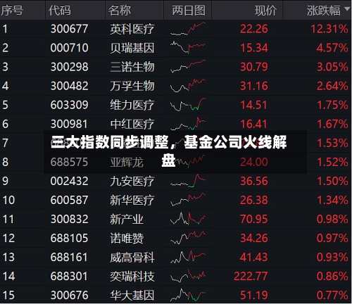 三大指数同步调整，基金公司火线解盘-第3张图片