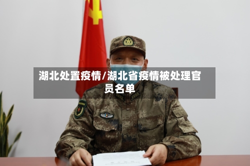 湖北处置疫情/湖北省疫情被处理官员名单