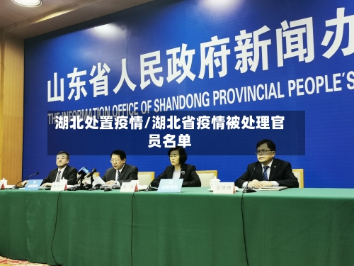 湖北处置疫情/湖北省疫情被处理官员名单-第2张图片