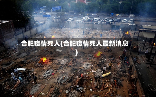 合肥疫情死人(合肥疫情死人最新消息)-第3张图片