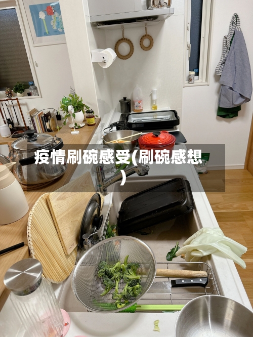 疫情刷碗感受(刷碗感想)-第2张图片
