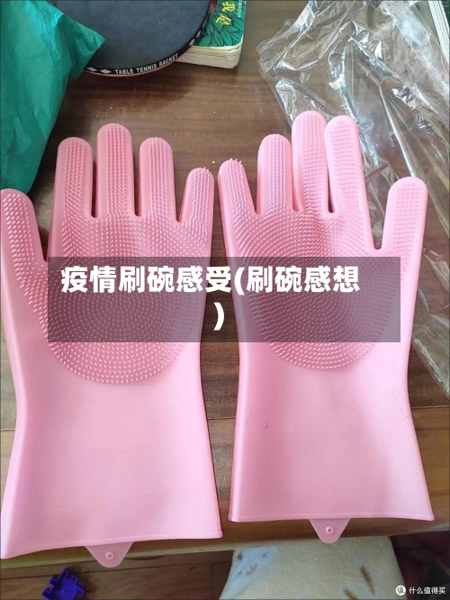 疫情刷碗感受(刷碗感想)