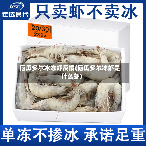 厄瓜多尔冰冻虾疫情(厄瓜多尔冻虾是什么虾)-第2张图片