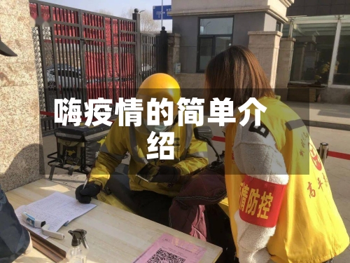 嗨疫情的简单介绍-第3张图片